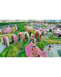Dubai Garden Glow with Butterfly Garden or Miracle Garden Combo Ticket